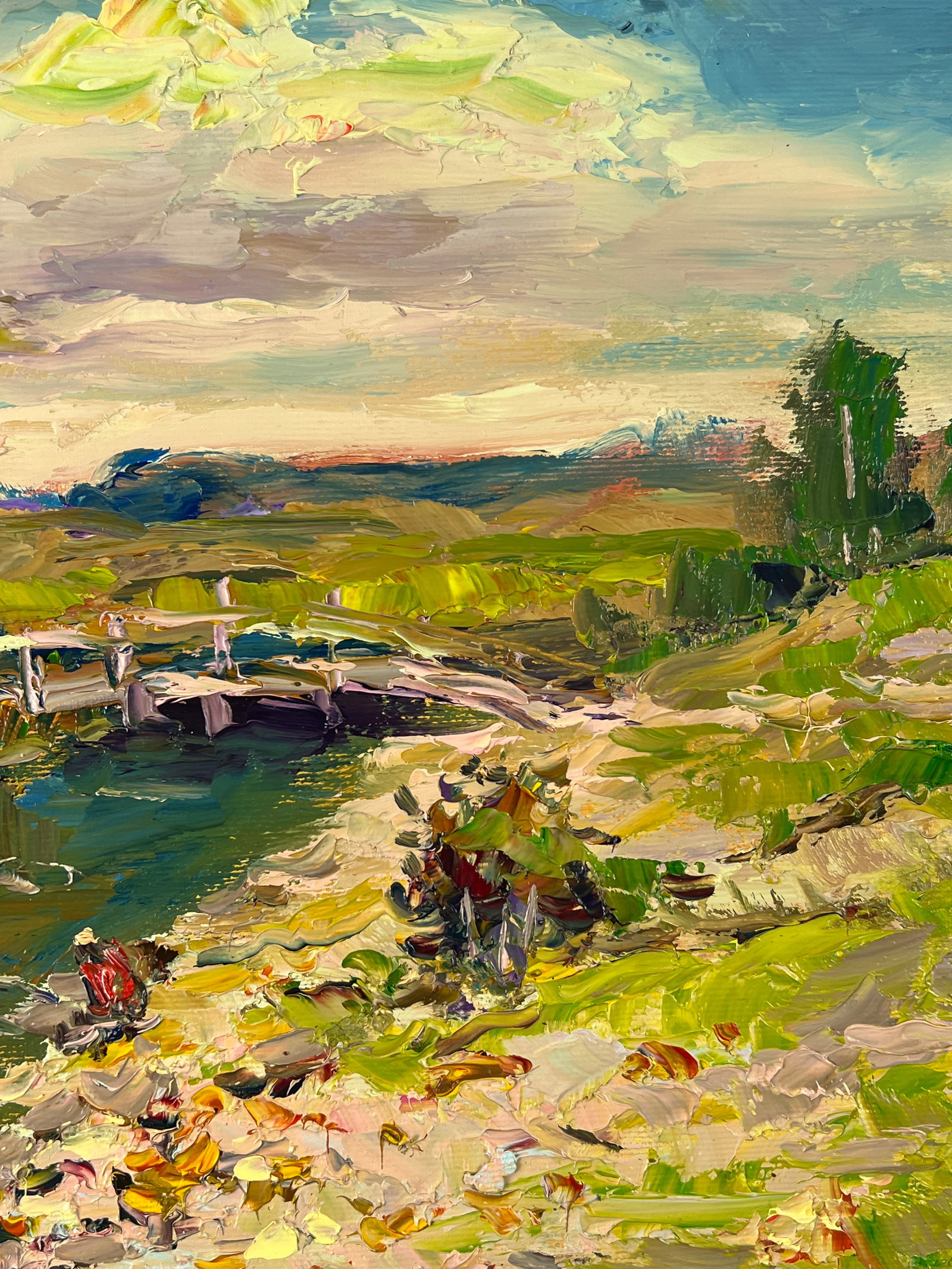 Oil painting Rural bridge Sergey Ivanovich Animov - 9