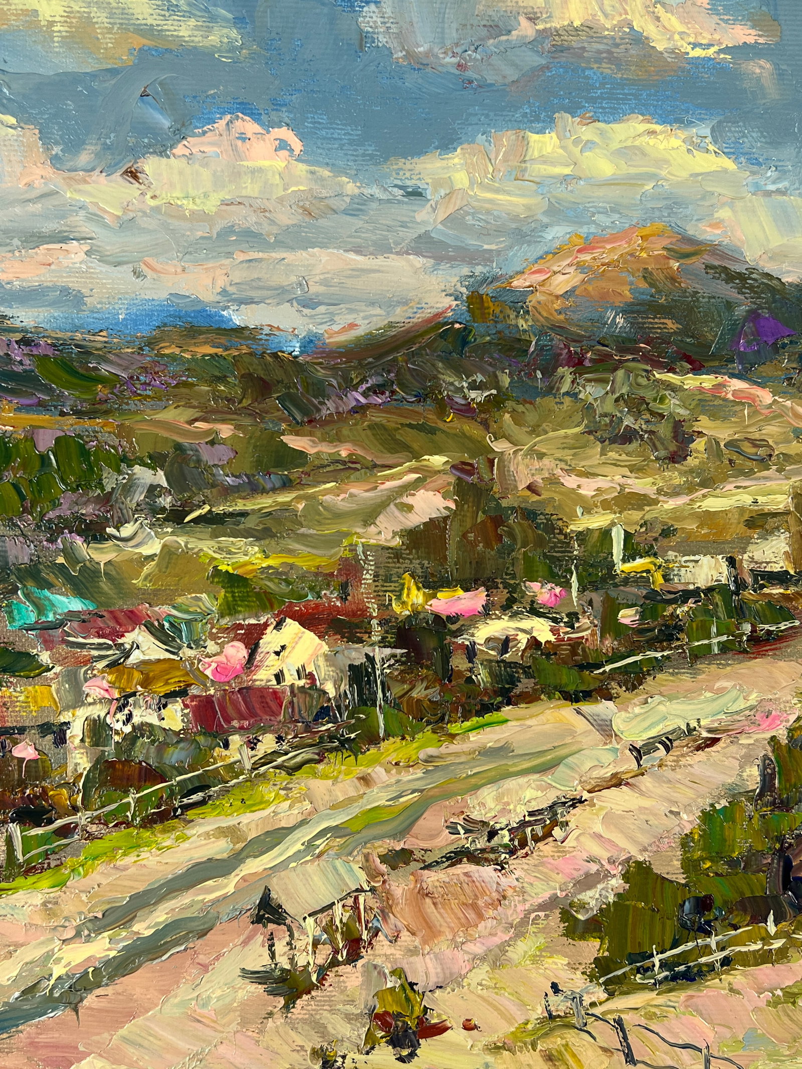Oil painting Mountain village Sergey Ivanovich Animov - 3
