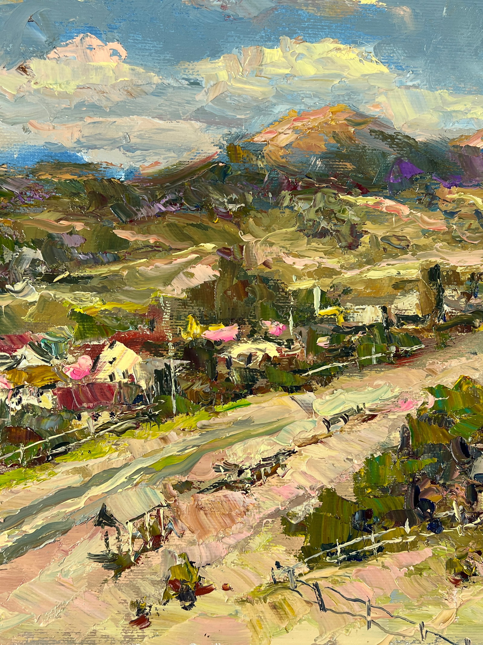 Oil painting Mountain village Sergey Ivanovich Animov - 4