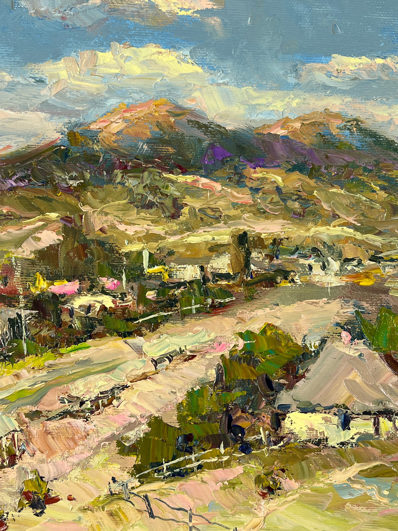 Oil painting Mountain village Sergey Ivanovich Animov - 5
