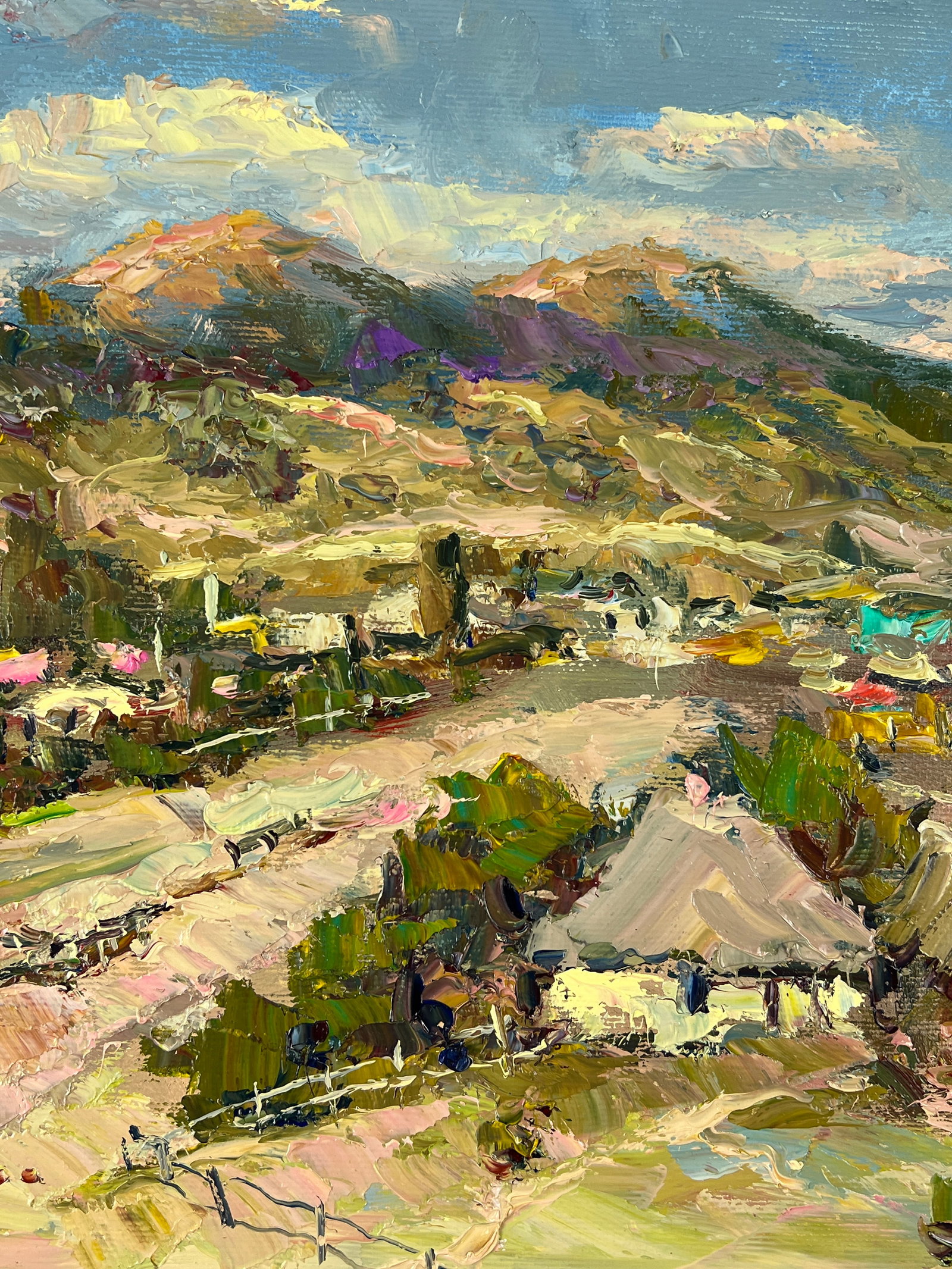 Oil painting Mountain village Sergey Ivanovich Animov - 6
