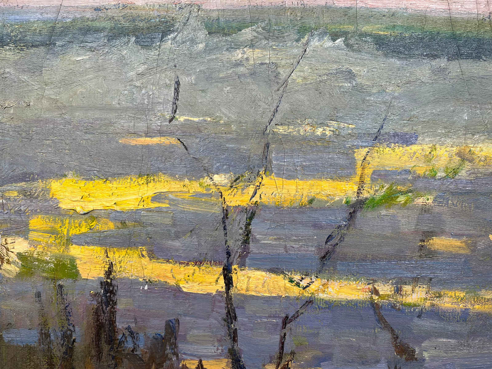 Oil painting Spring came Kogan-Shatz - 7