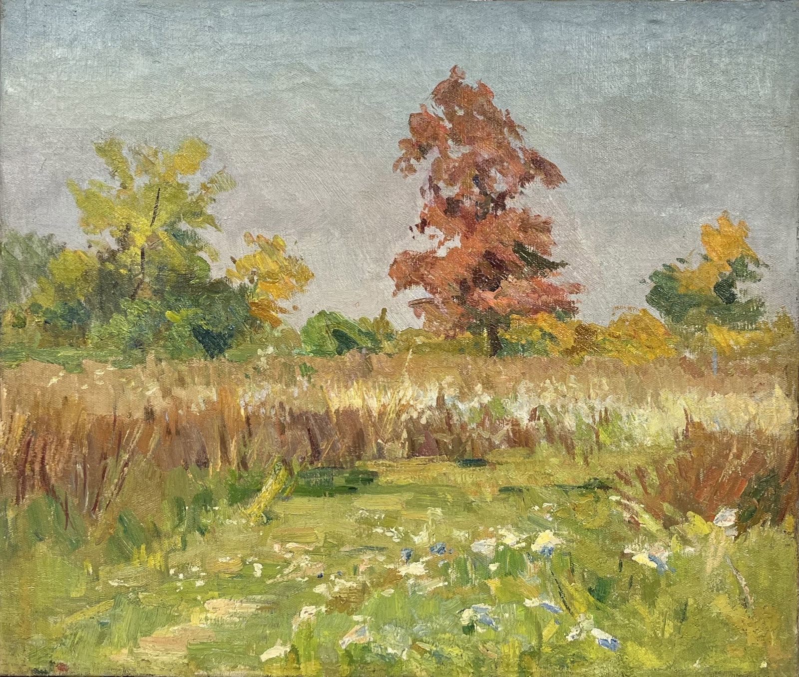 Oil painting Autumn meadow Kogan-Shatz - 2