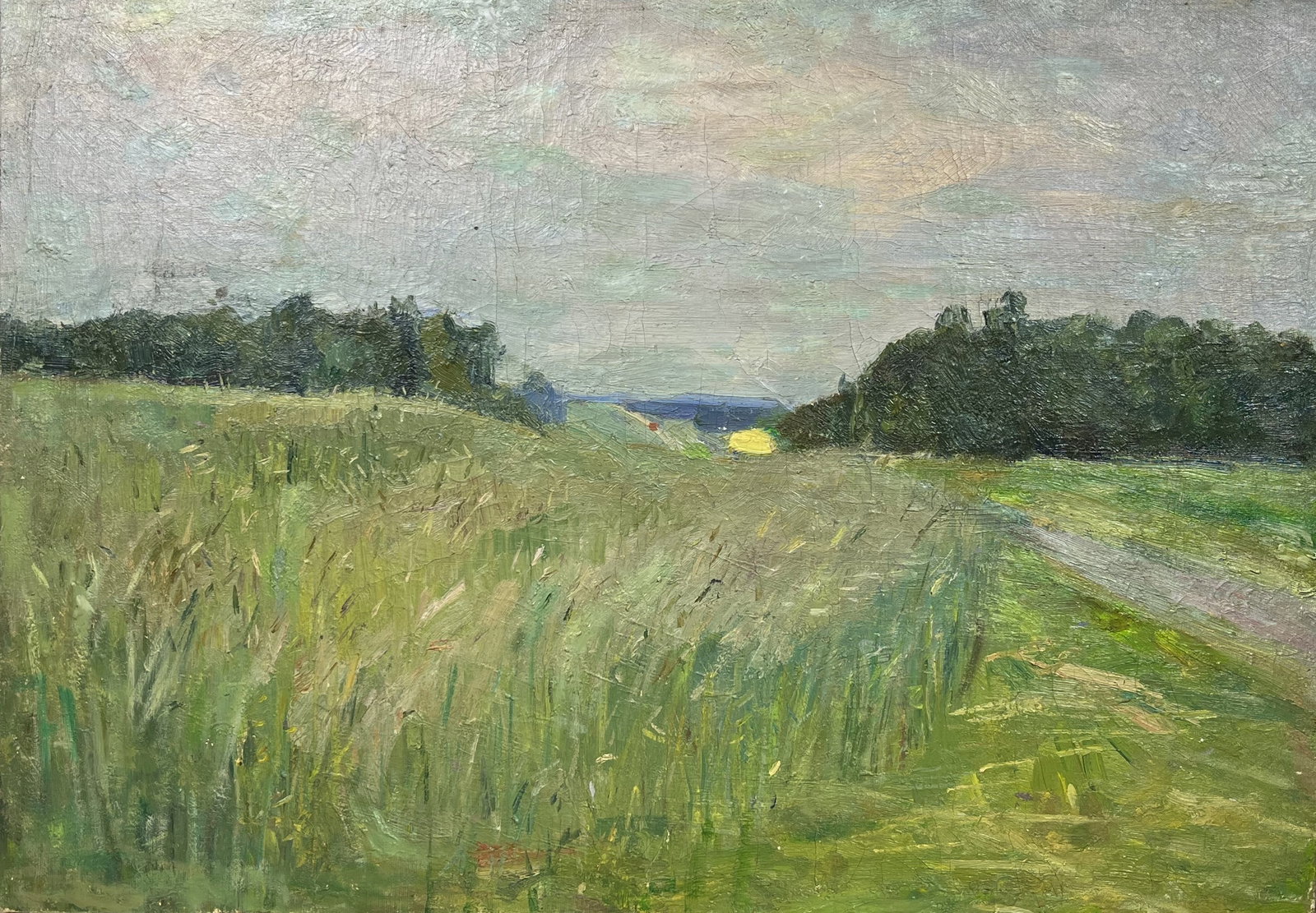 Oil painting Summer sunset Kogan-Shatz - 2
