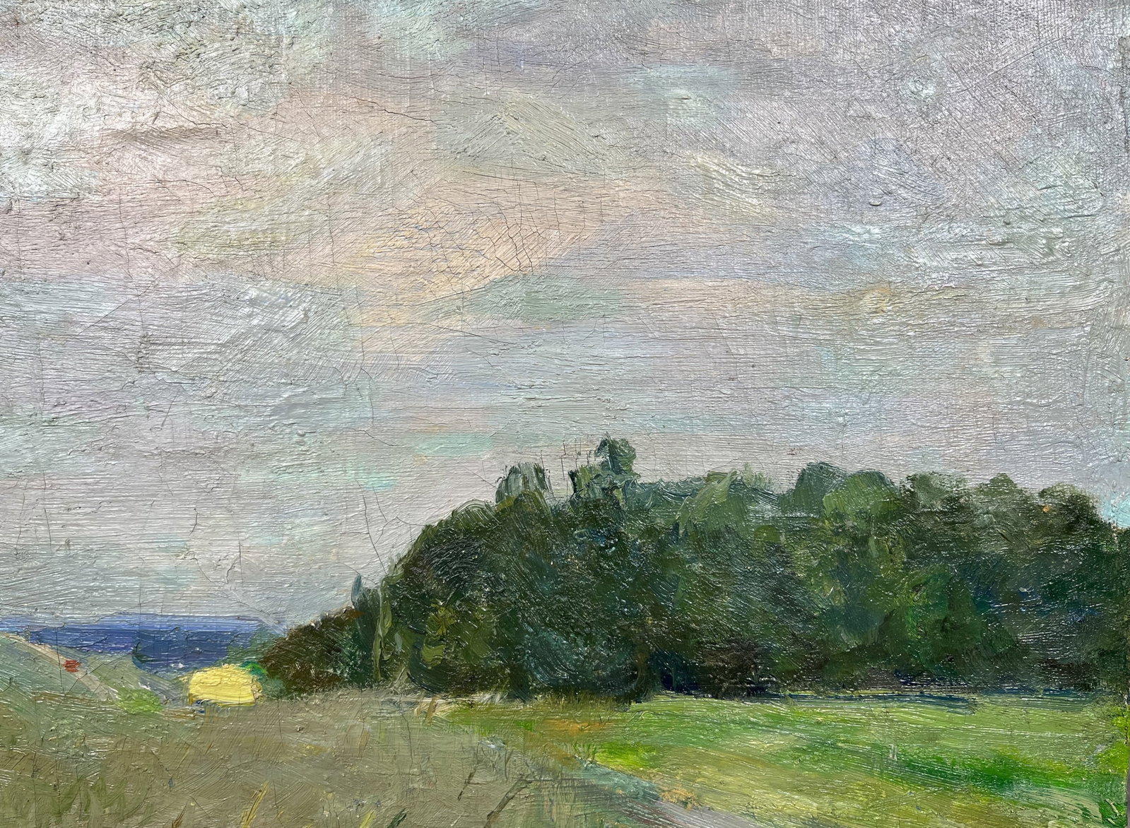 Oil painting Summer sunset Kogan-Shatz - 7