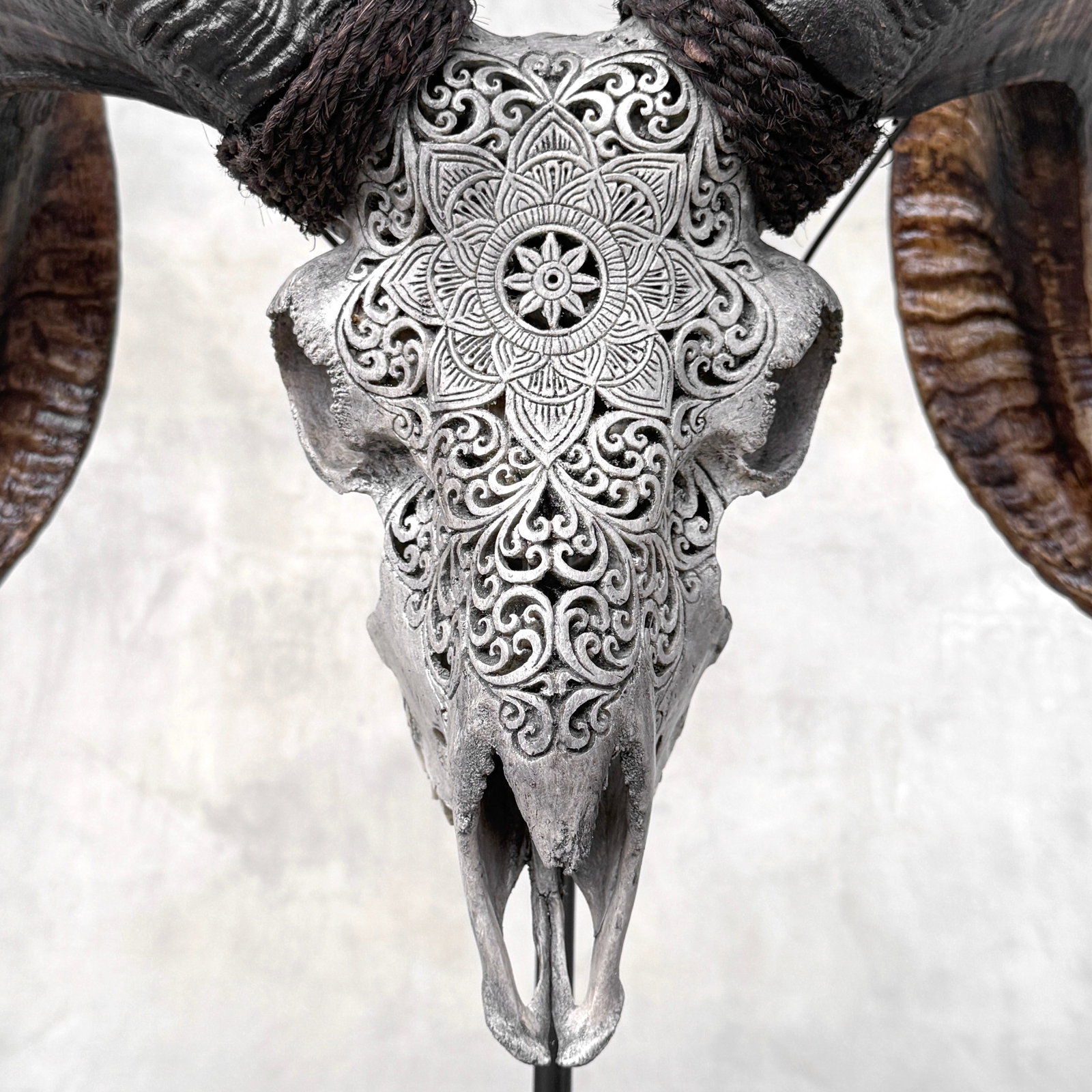Carved grey ram skull - Flower mandala motif - 2