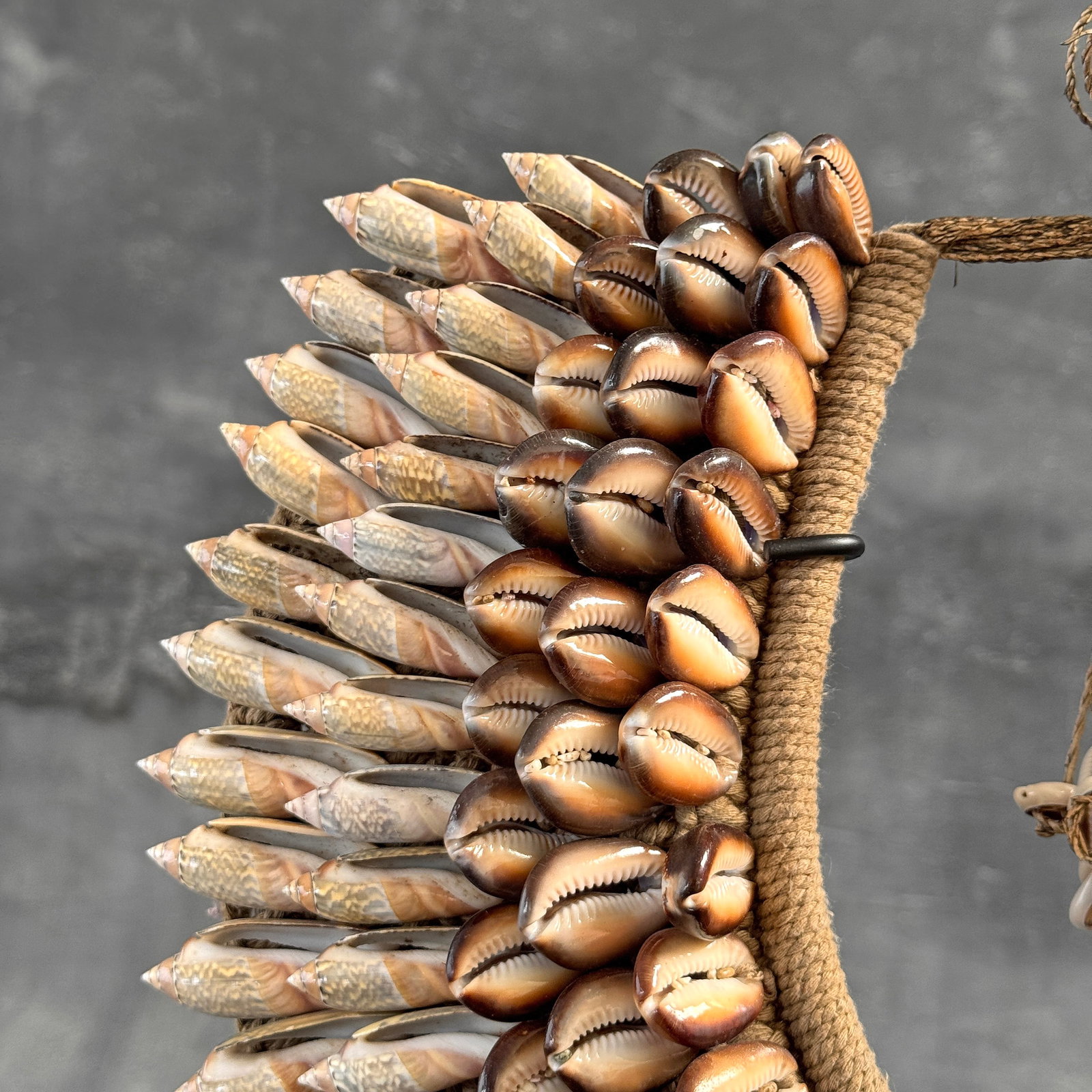 Decorative shell necklace on a custom stand - 5