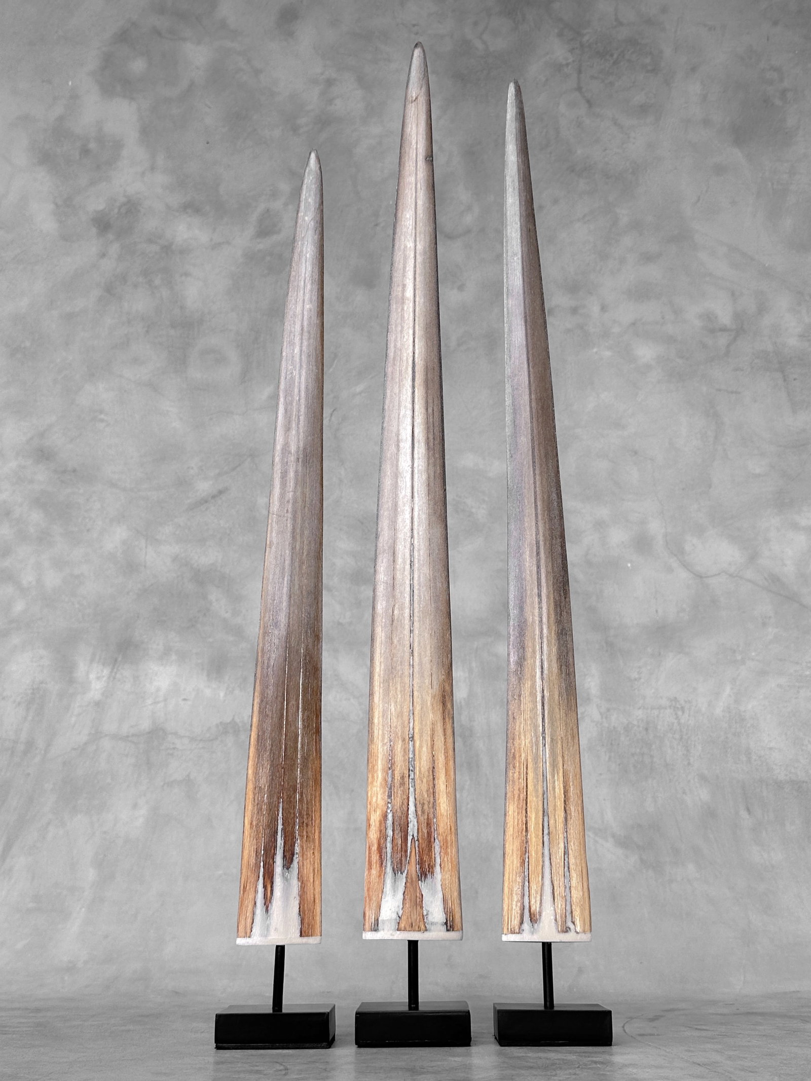 Swordfish tusk trio with custom stands - 2