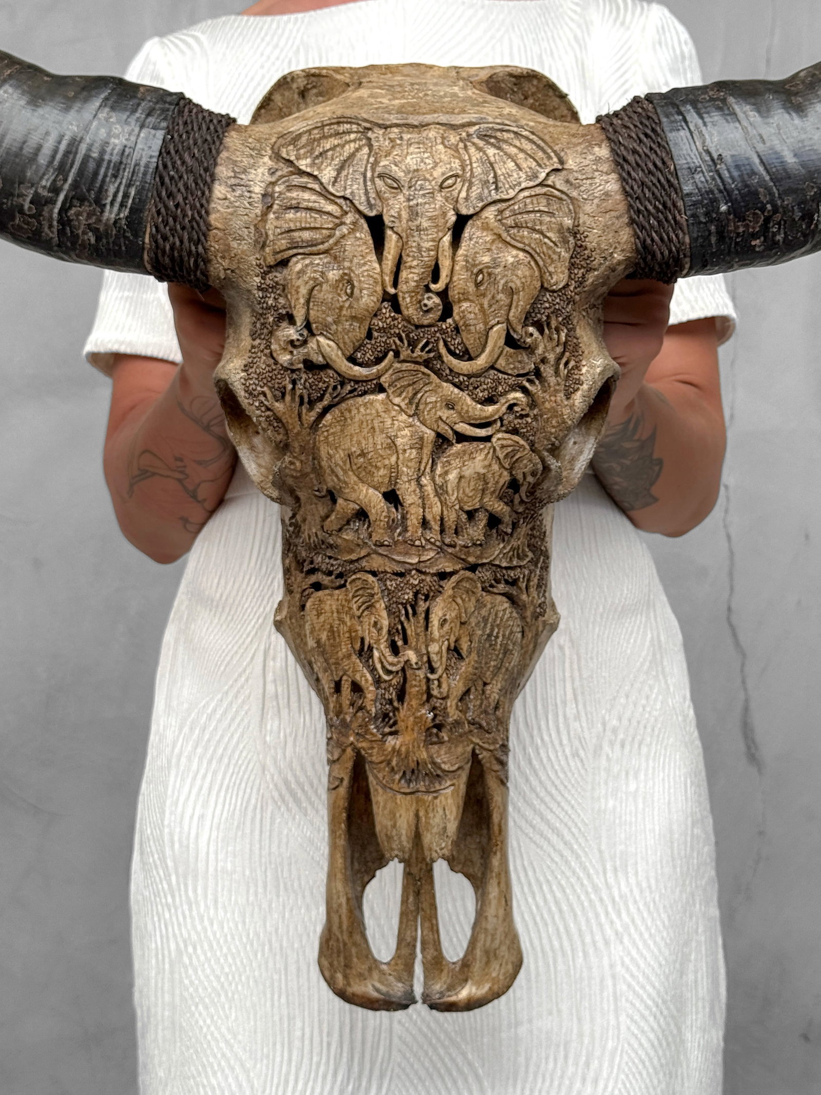 Brown water buffalo skull - Elephants motif - 2