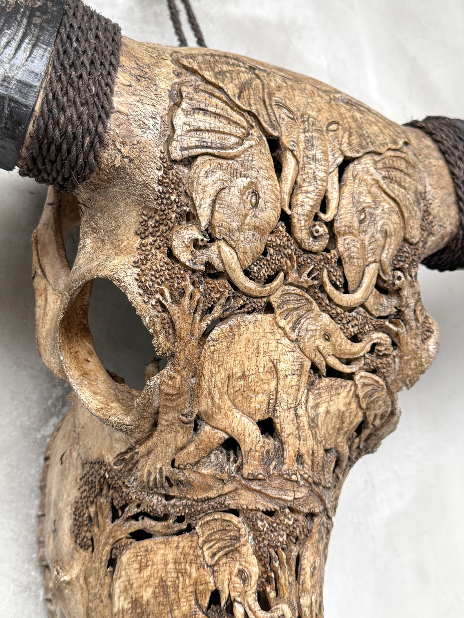 Brown water buffalo skull - Elephants motif - 7