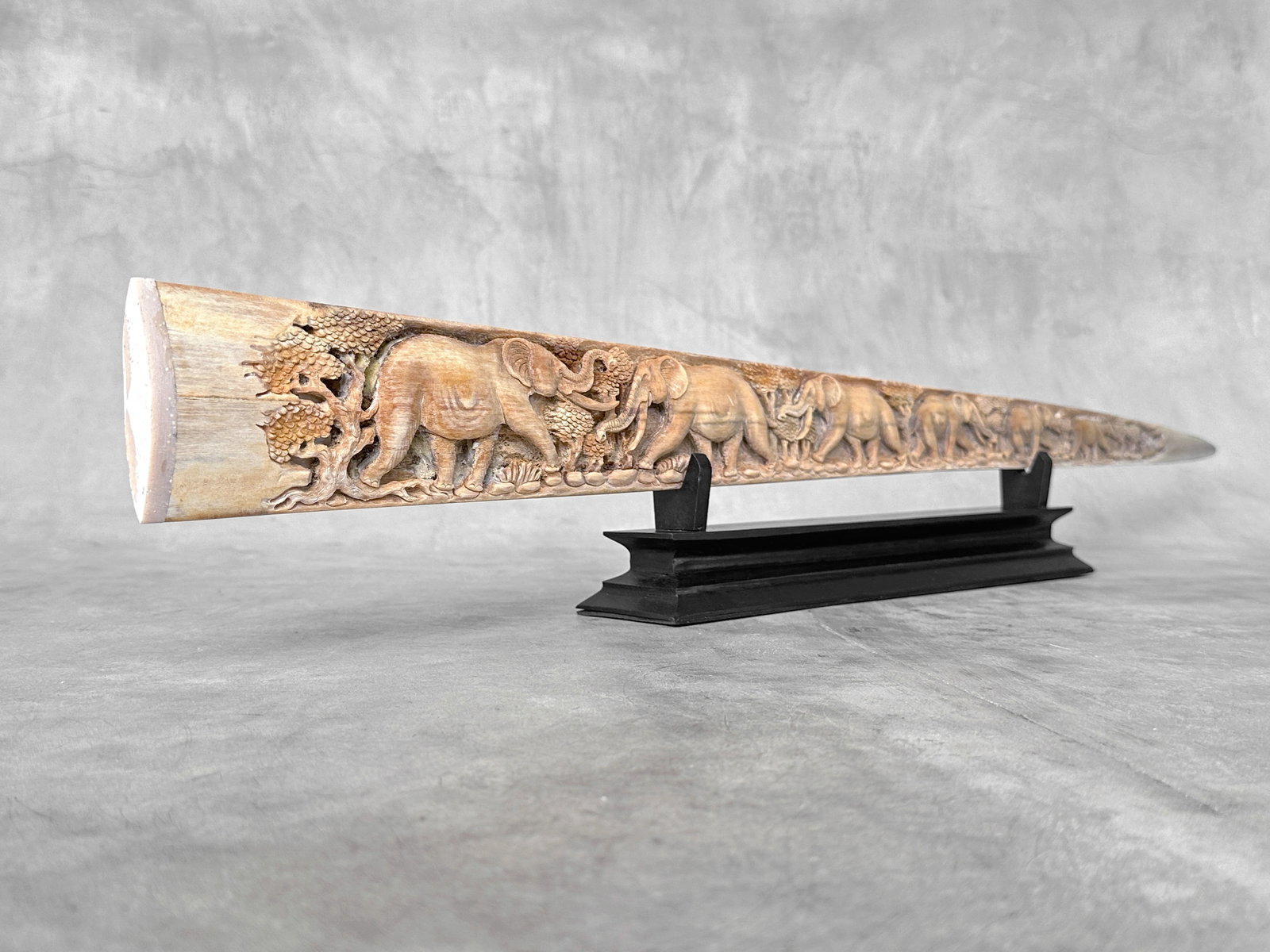 A stunning carved swordfish rostrum - Parade of Savannah elephants - 4