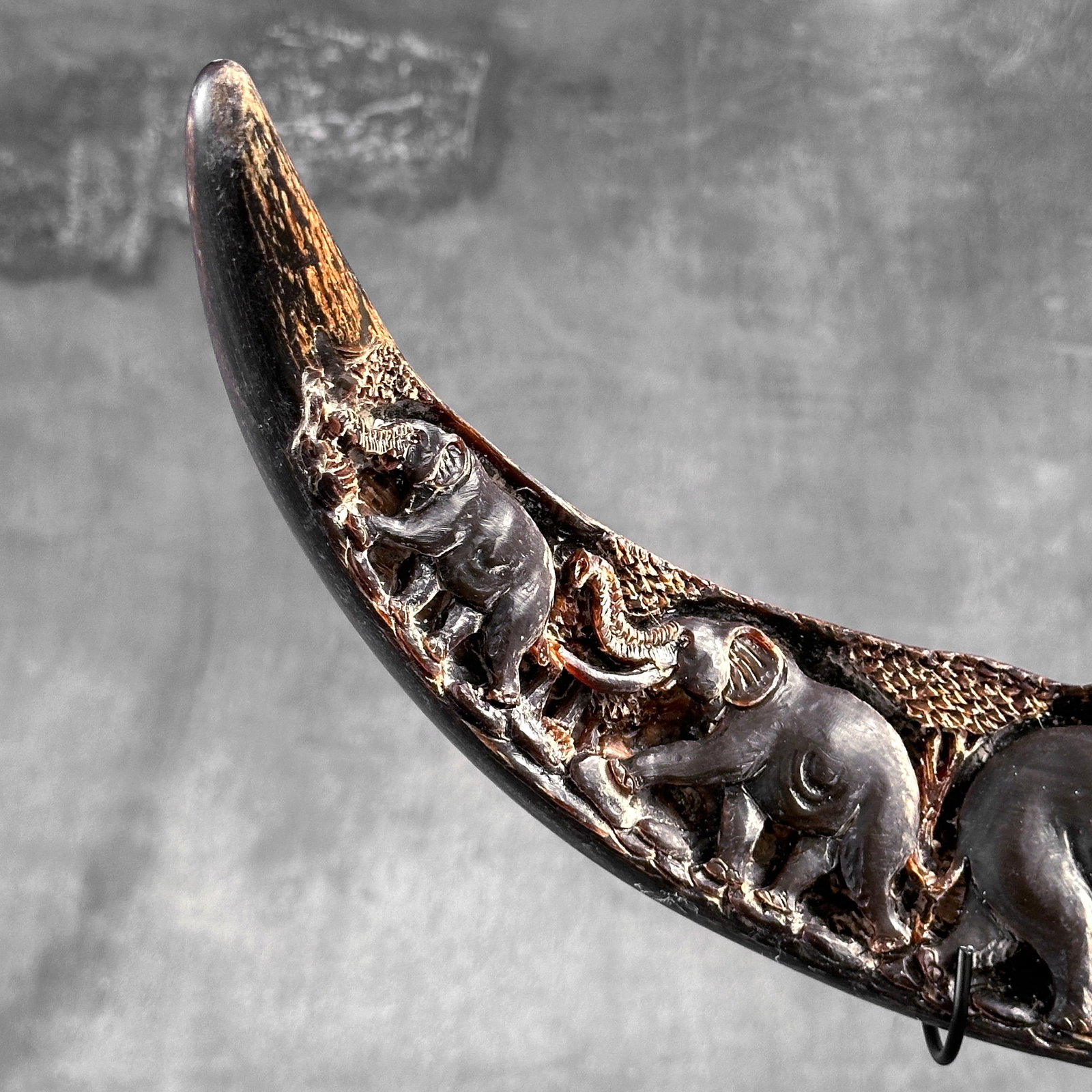 Finely engraved water buffalo horn - Elephants motif - 3