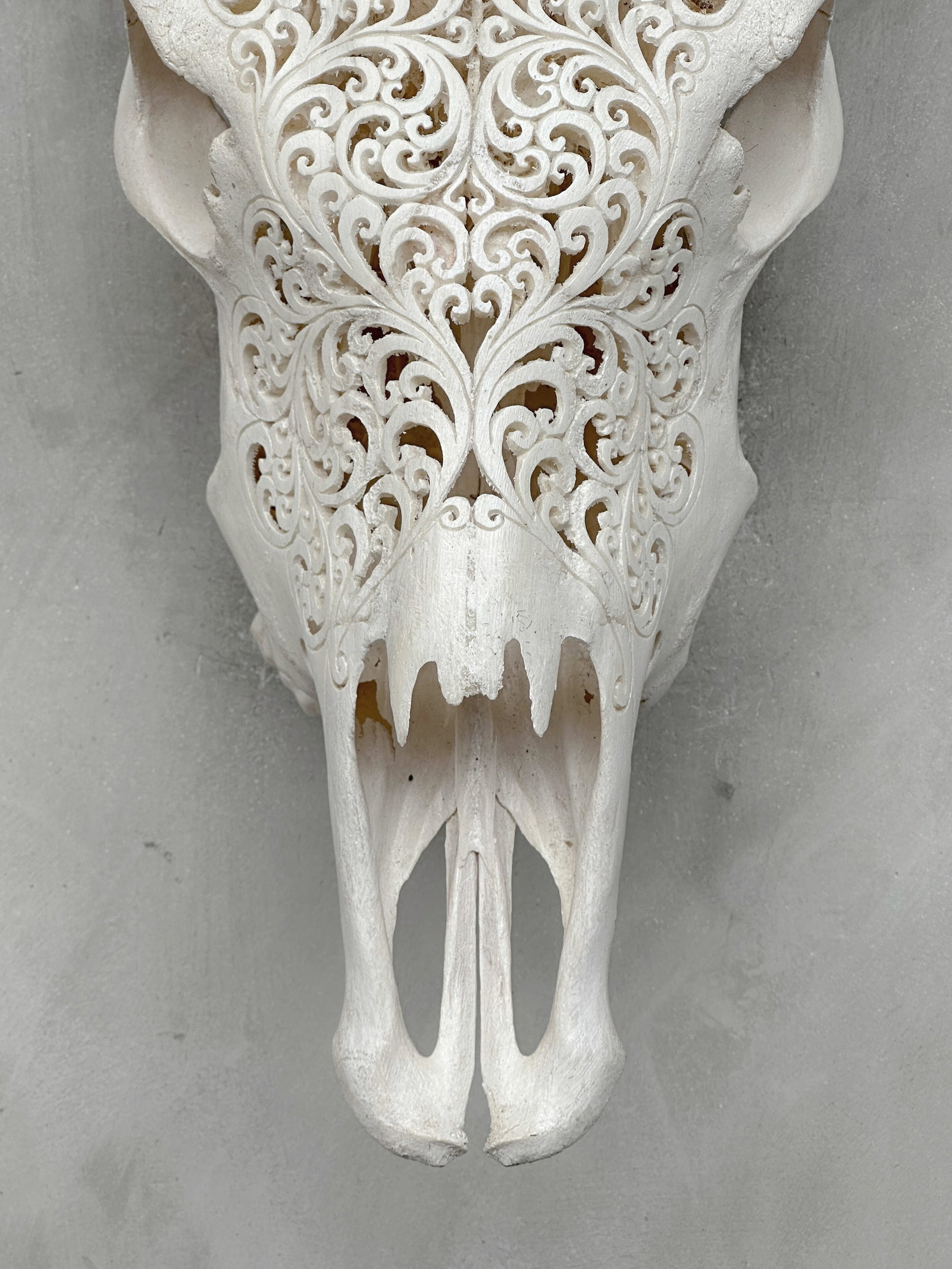 White cow skull - Eagle motif - 4