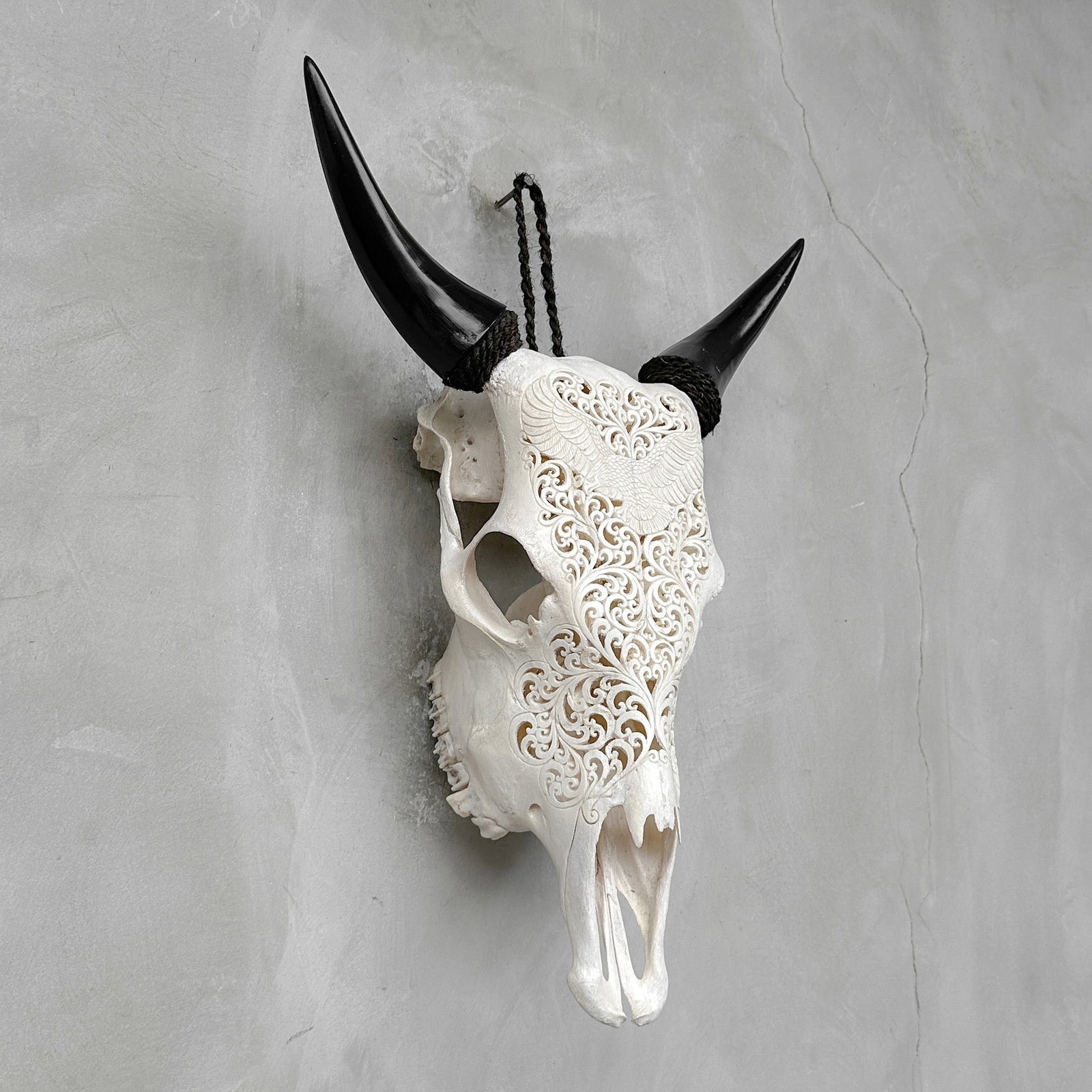 White cow skull - Eagle motif - 5