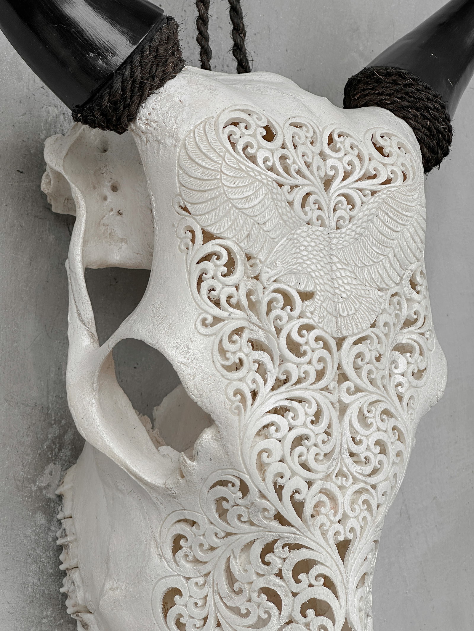 White cow skull - Eagle motif - 6