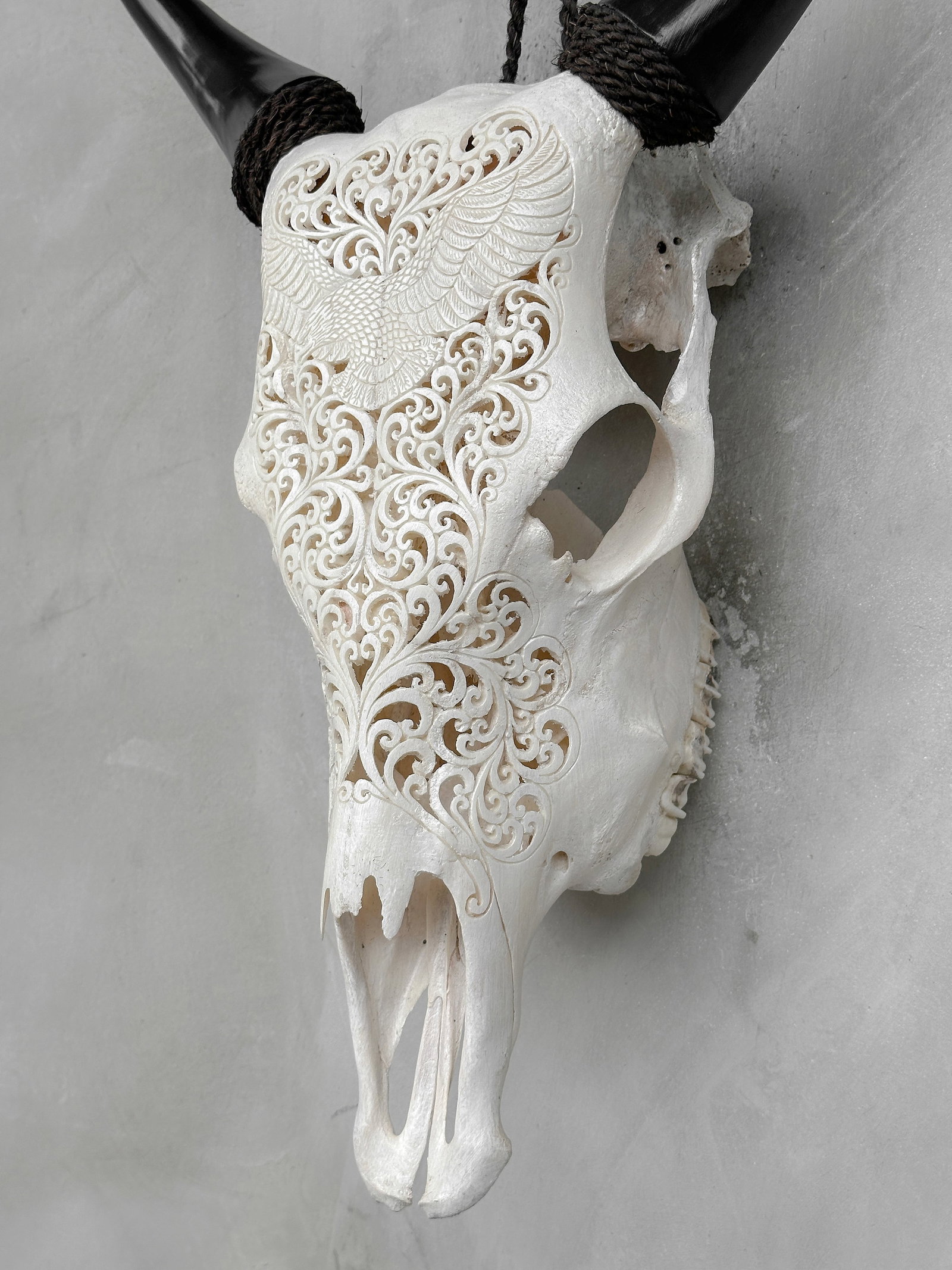 White cow skull - Eagle motif - 8