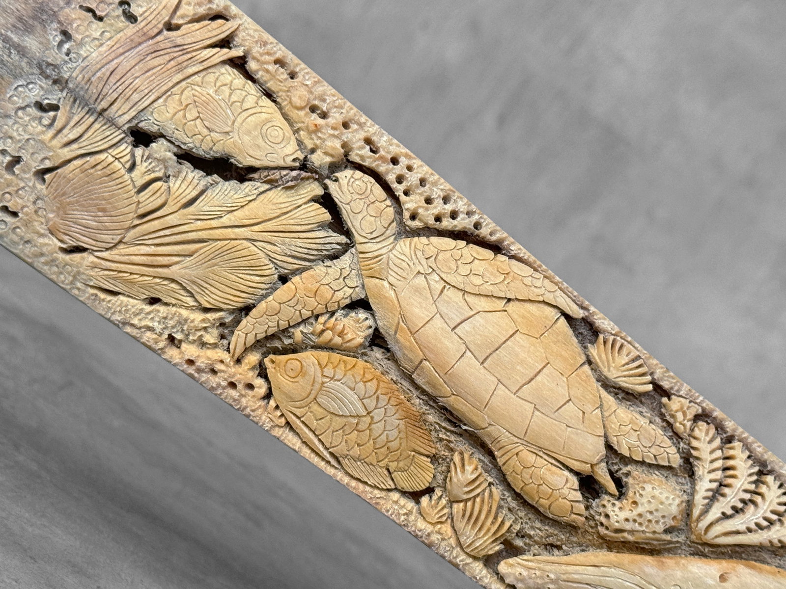 Beautiful engraved Swordfish rostrum - Marine motif - 3