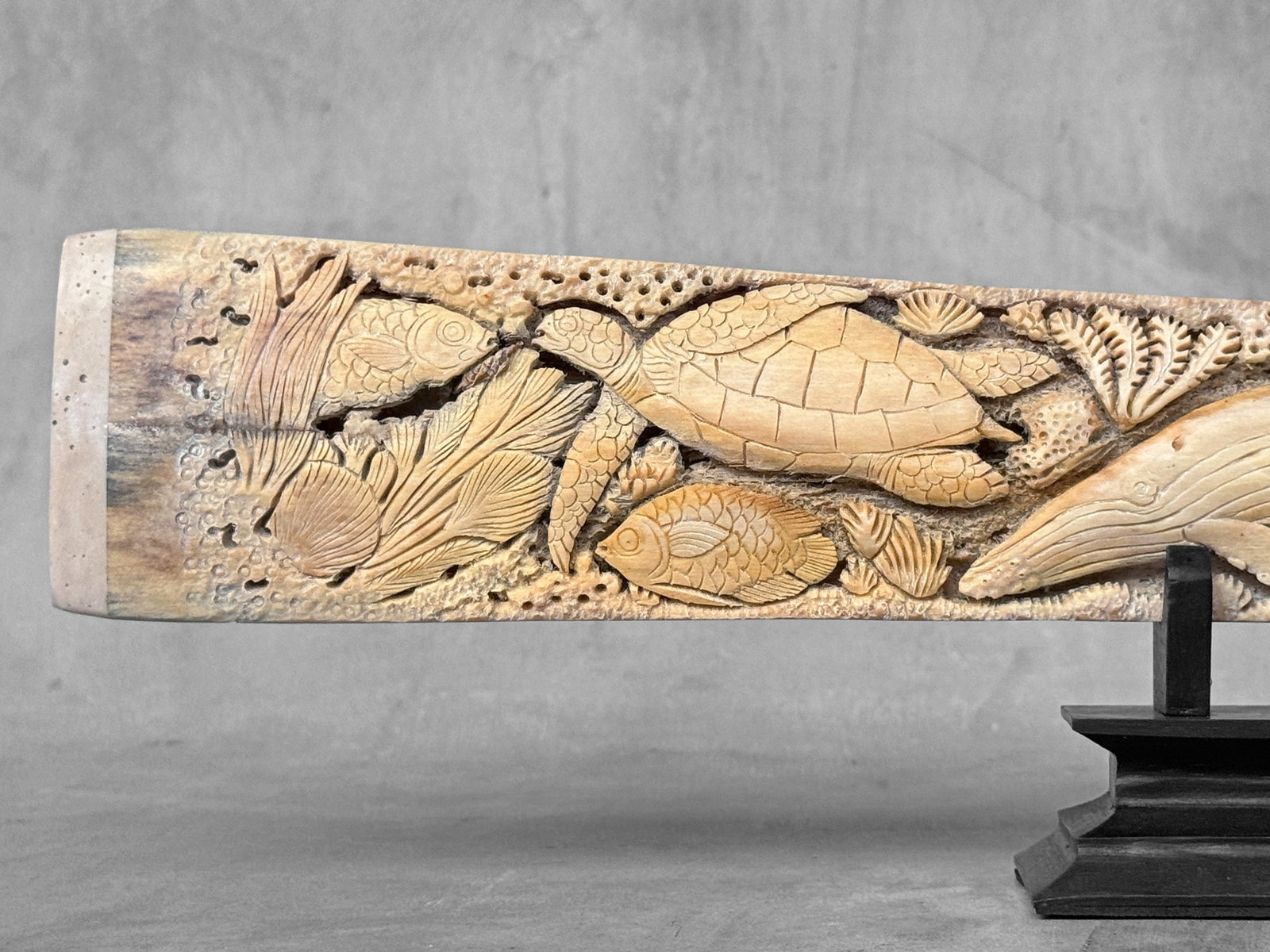 Beautiful engraved Swordfish rostrum - Marine motif - 5