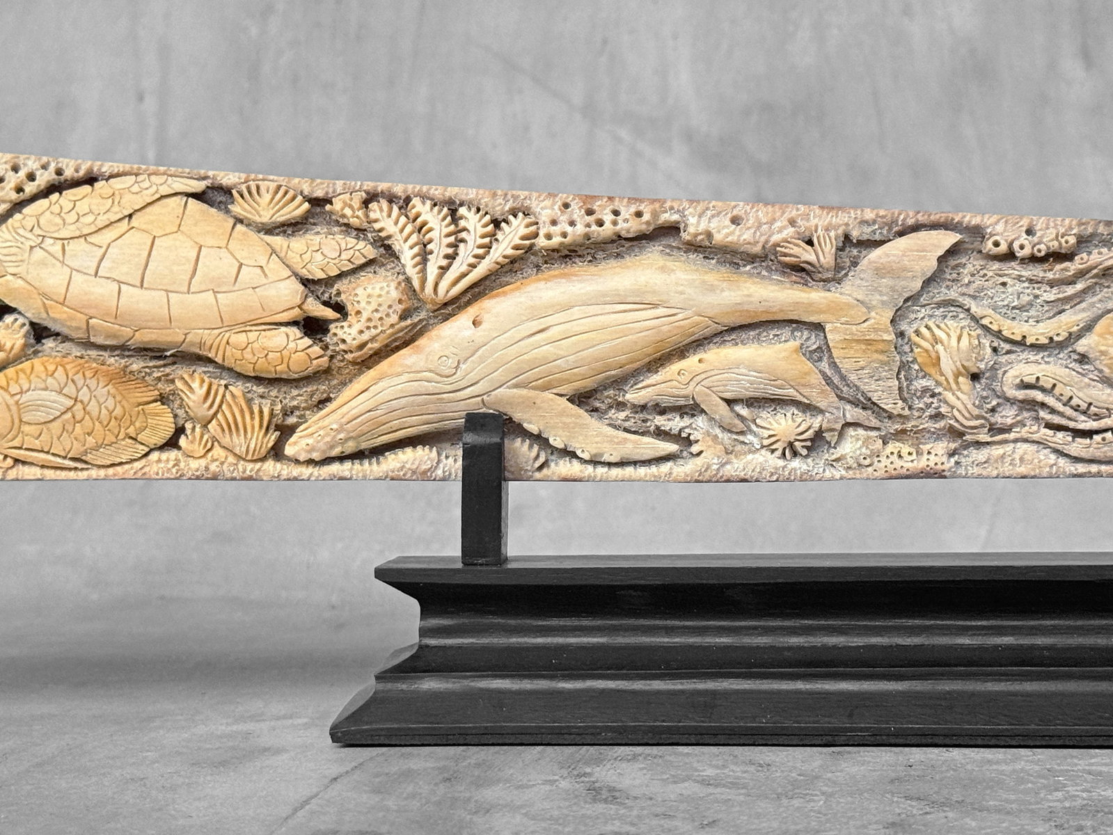 Beautiful engraved Swordfish rostrum - Marine motif - 6