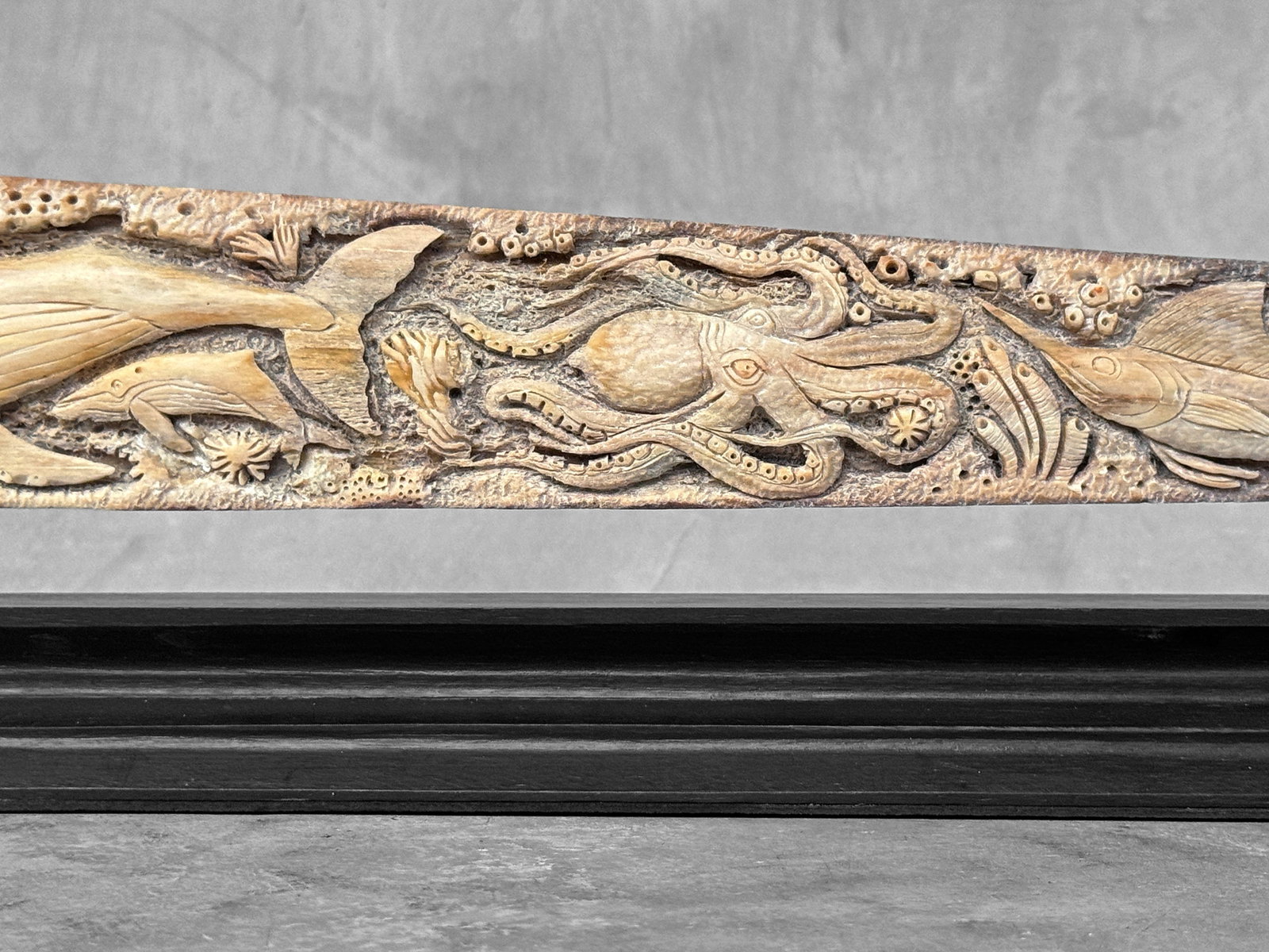 Beautiful engraved Swordfish rostrum - Marine motif - 7