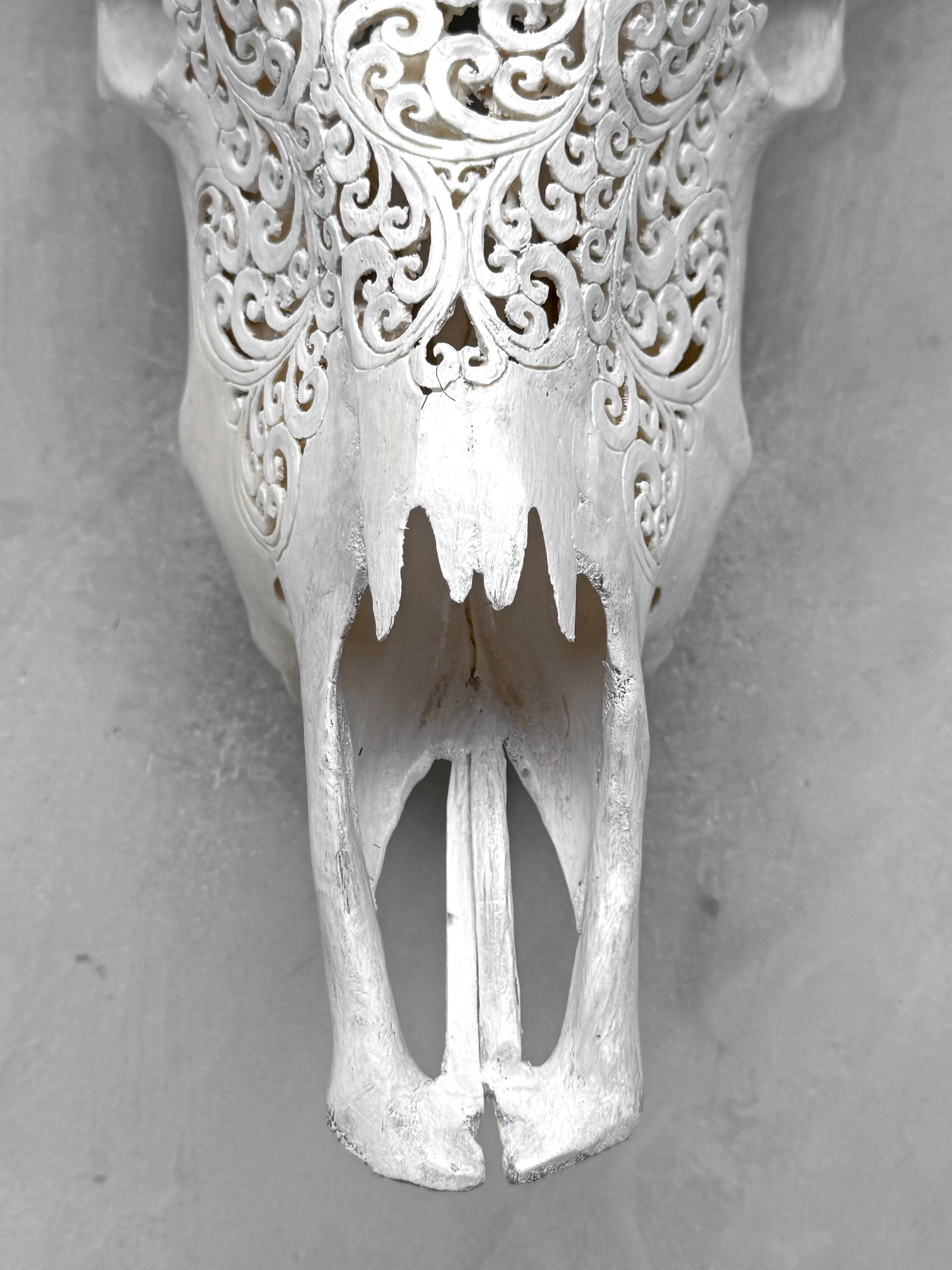 White cow skull carved horns - Flower mandala motif - 4