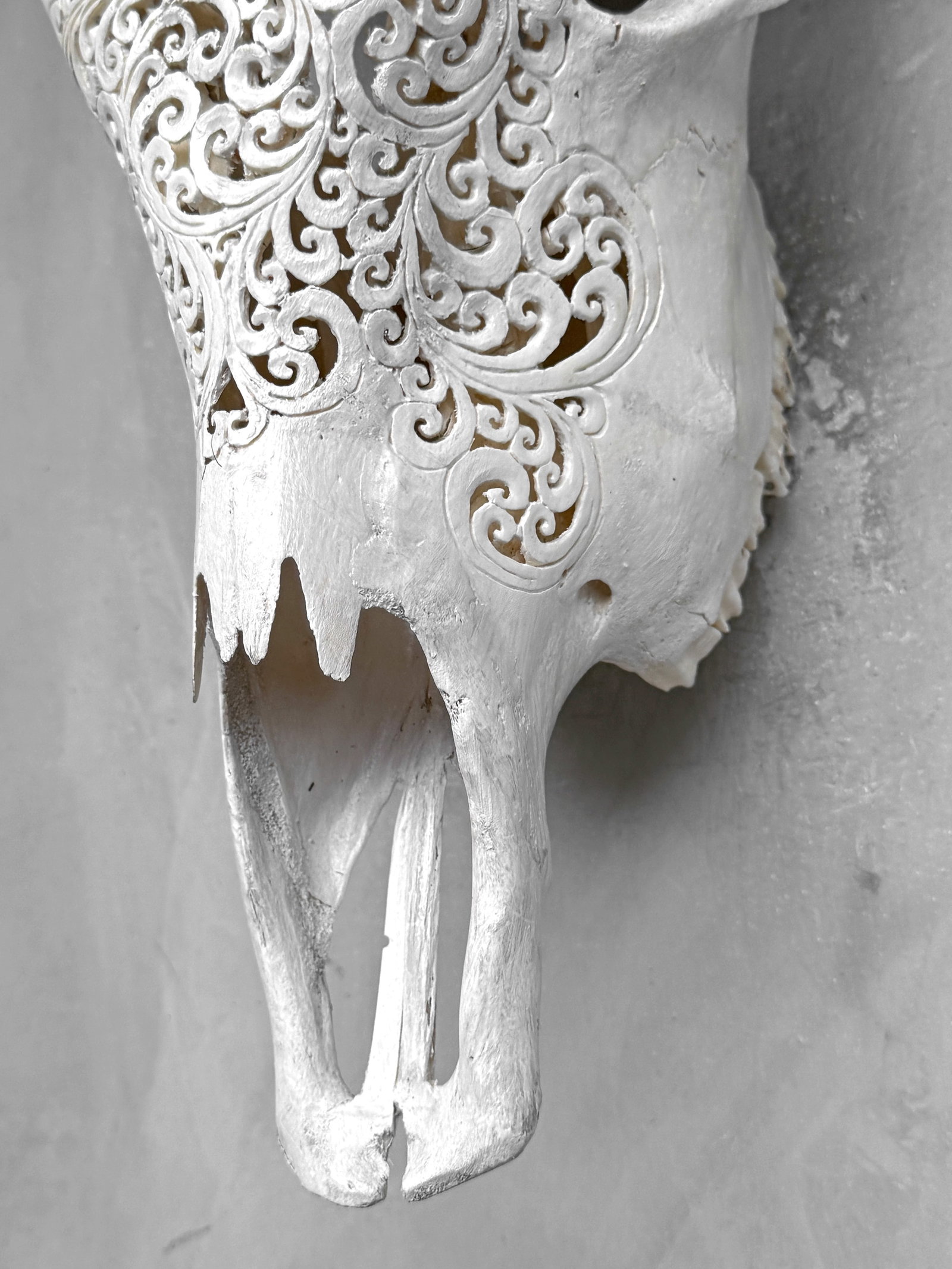 White cow skull carved horns - Flower mandala motif - 8