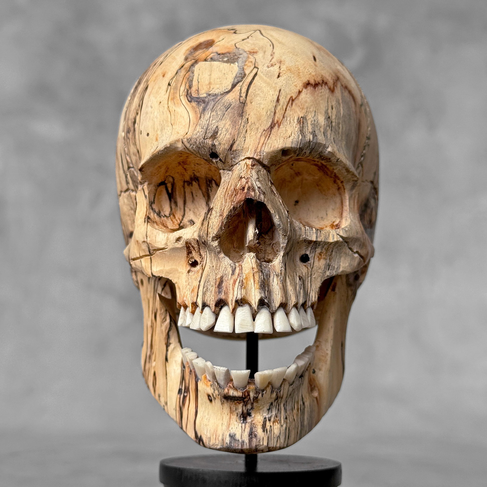 Wonderful human skull with a beautiful grain on a custom stand - 5