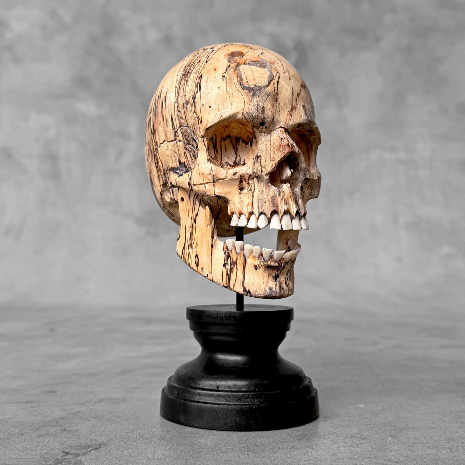 Wonderful human skull with a beautiful grain on a custom stand - 6