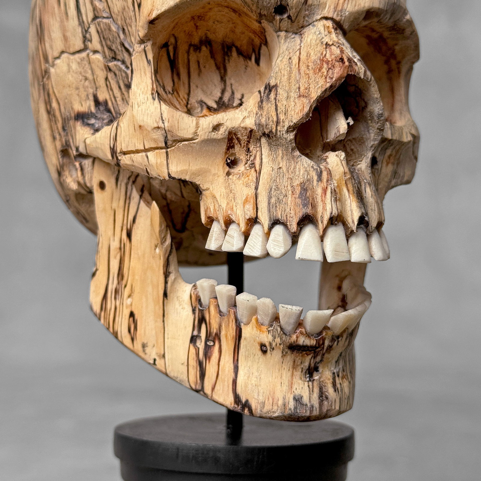 Wonderful human skull with a beautiful grain on a custom stand - 8