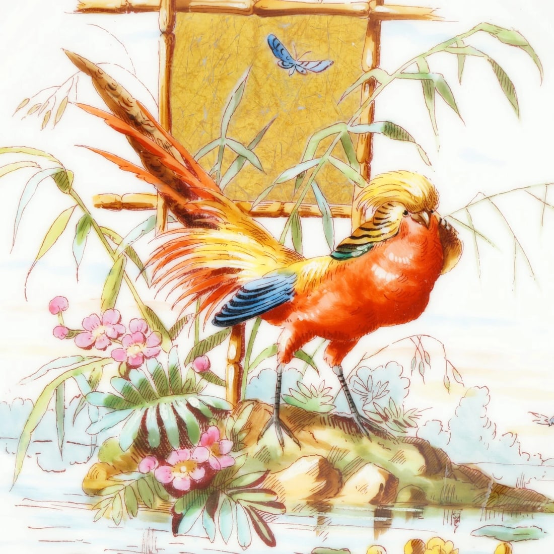 Five Haviland Limoges Cabinet Plates Birds c 1877 - 19