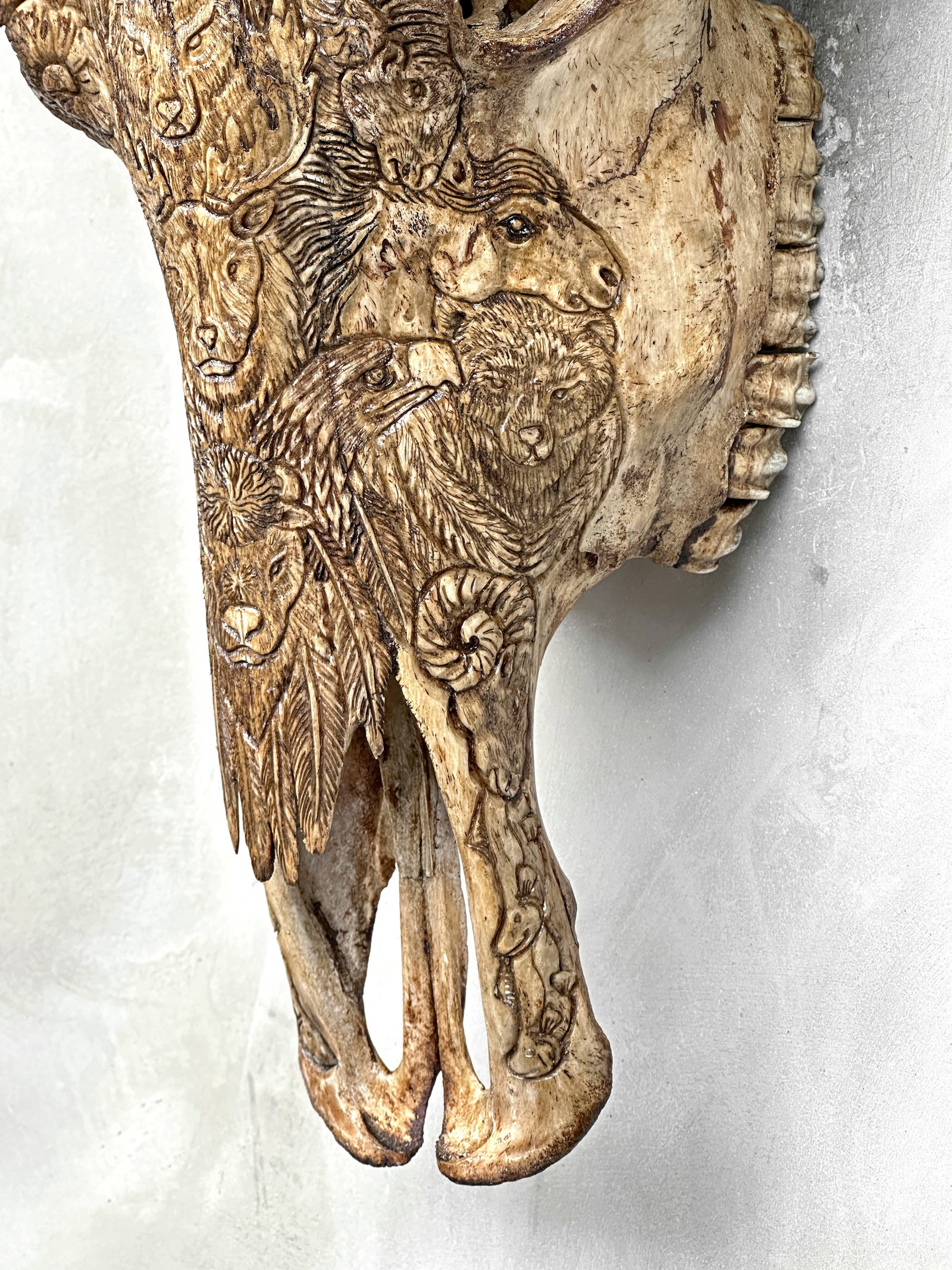 Brown water buffalo skull - Native american indian motif - 8