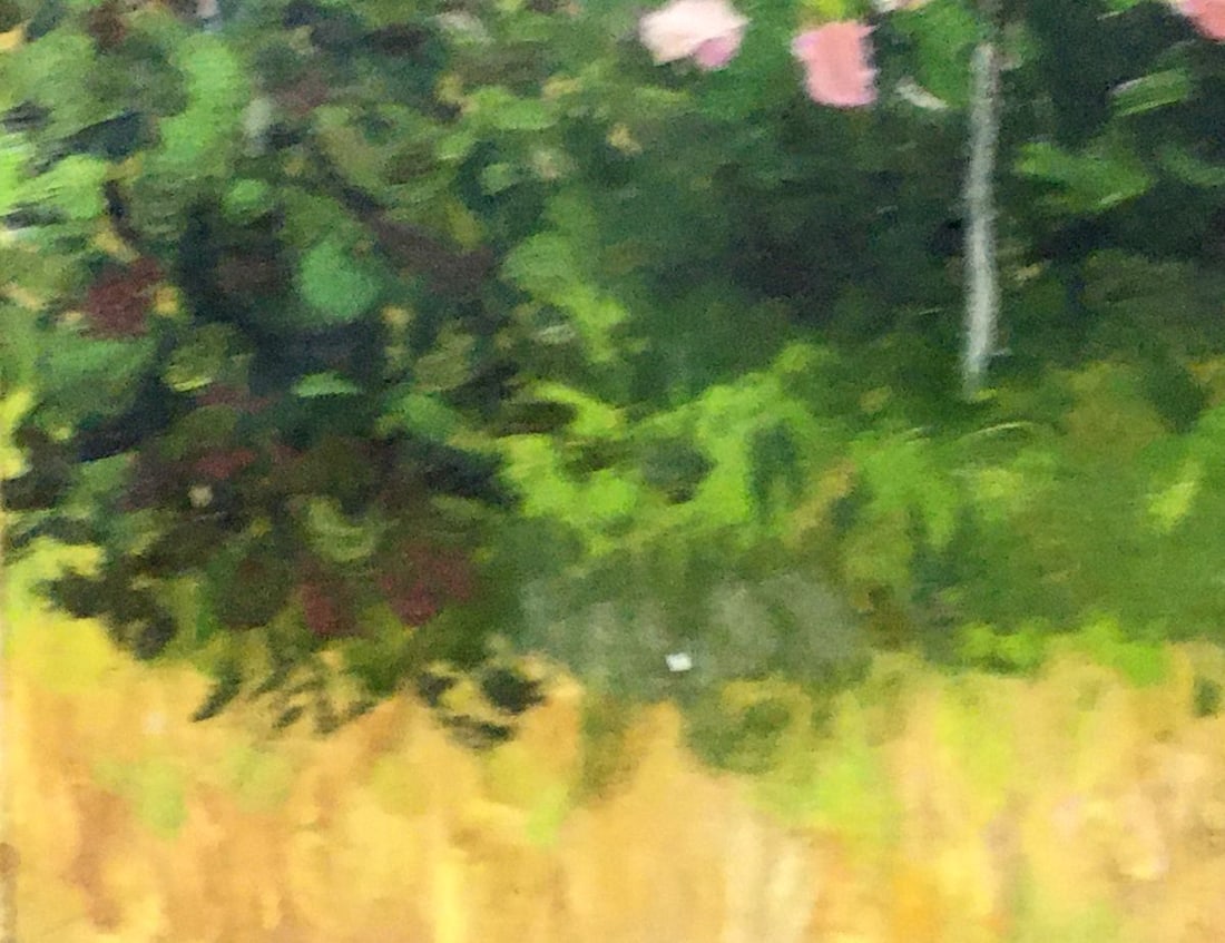 Oil painting Garden Tsyupka Ivan Kirillovich - 10