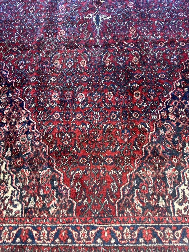 Hand Knotted Persian Hamedan Rug 16.8x9.5 ft - 2