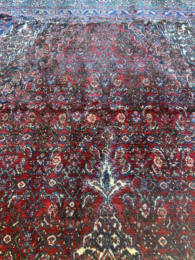 Hand Knotted Persian Hamedan Rug 16.8x9.5 ft - 4