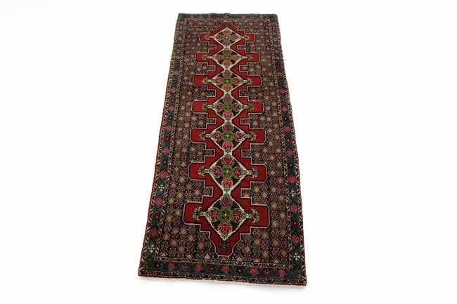 Red Floral 3X9 Bidjar Persian Runner Rug - 3