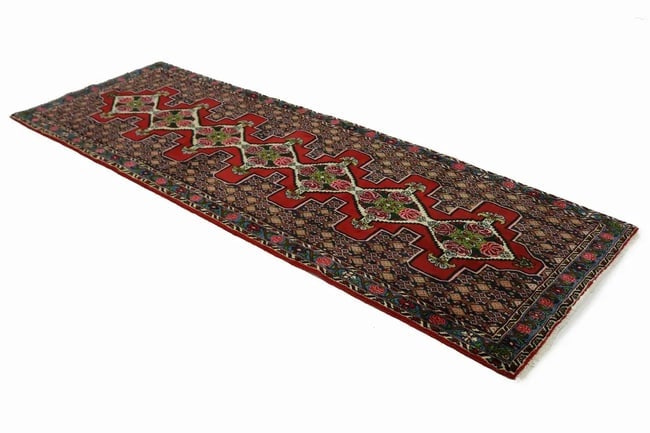 Red Floral 3X9 Bidjar Persian Runner Rug - 4