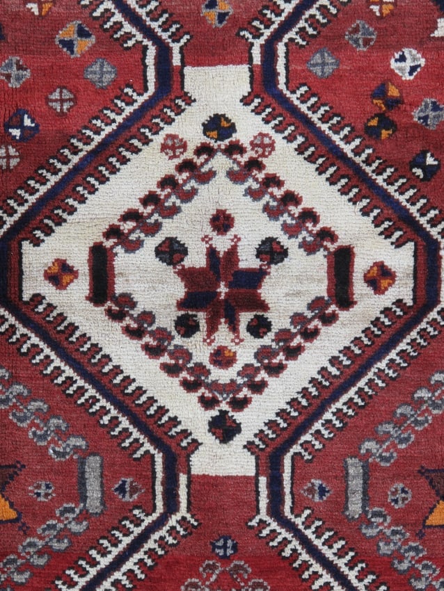 Hand Knotted Persian Shiraz Rug 5.3x10.3 ft - 2