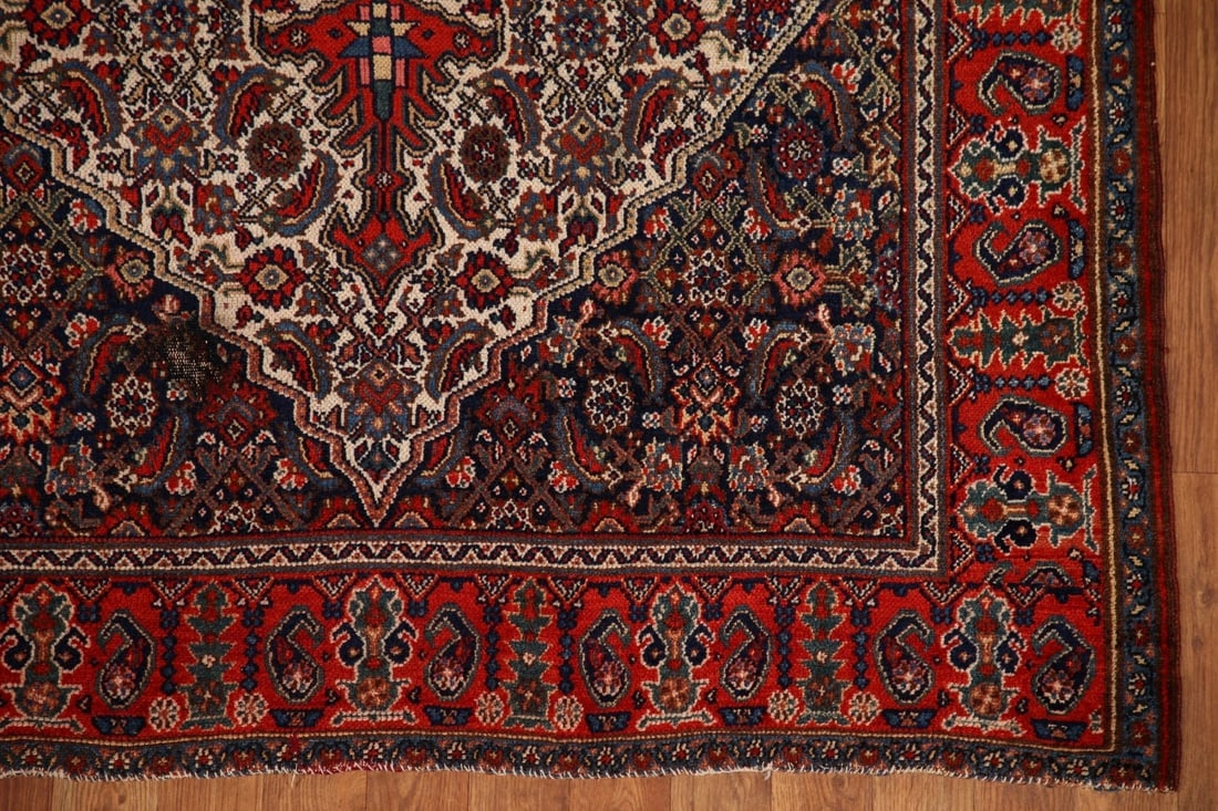 100% Vegetable Dye Antique Bibikabad Persian Area Rug 5x7 - 7