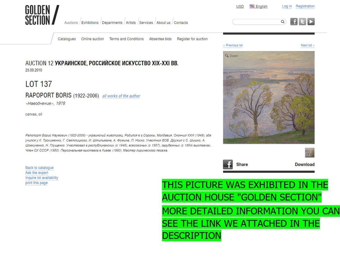 Oil painting Flood Rapoport Boris Naumovich - 9