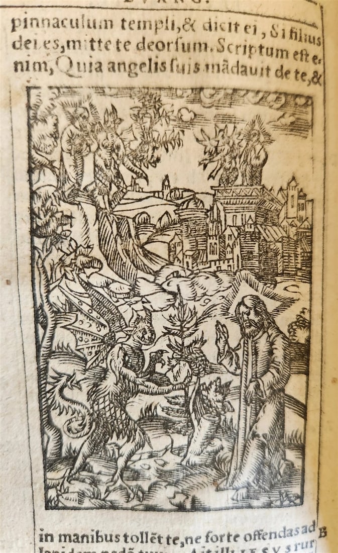 1542 BIBLE in LATIN ILLUSTRATED by Sebald Beham antique RARE POCKET SIZE BIBLIA - 2