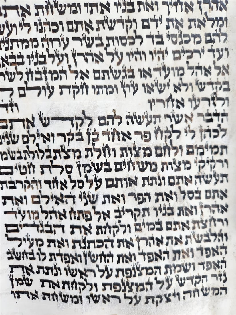 TORAH SCROLL FRAGMENT MANUSCRIPT on VELLUM size 22 by 23 antique EXODUS 28:27-3 - 2