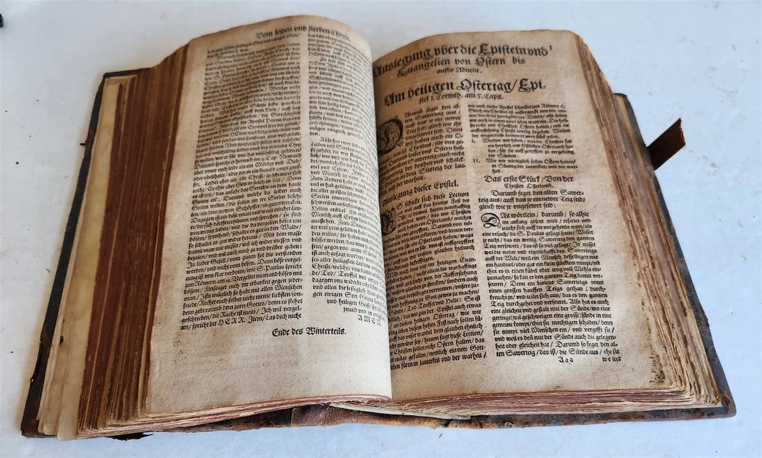 1583 ILLUSTRATED POSTILLA antique 80 WOODCUTS CRANACH SCHOOL ARTIST - 4