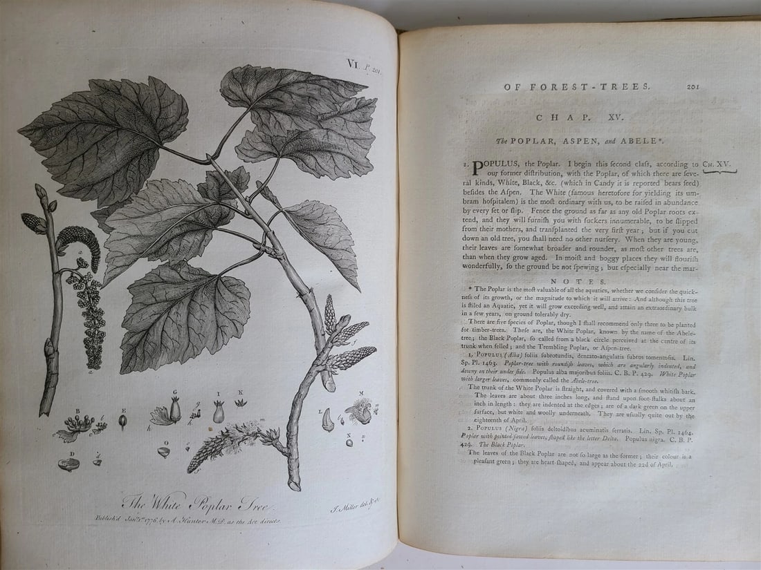 1786 SILVA: DISCOURSE OF FOREST TREES 2 VOLUMES ILLUSTRATED antique in ENGLISH - 17