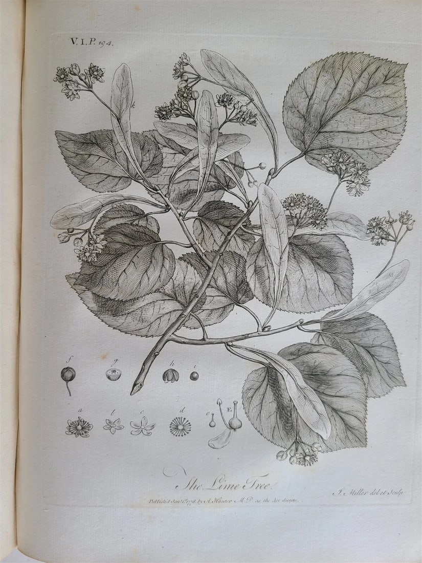1786 SILVA: DISCOURSE OF FOREST TREES 2 VOLUMES ILLUSTRATED antique in ENGLISH - 18