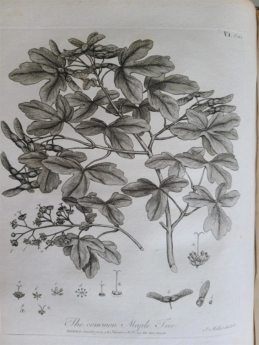 1786 SILVA: DISCOURSE OF FOREST TREES 2 VOLUMES ILLUSTRATED antique in ENGLISH - 19