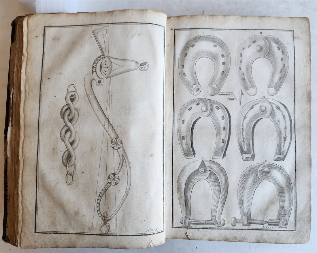1702 Oeconomus prudens ILLUSTRATED 2 FOLIO VOLUMES antique in GERMAN - 3