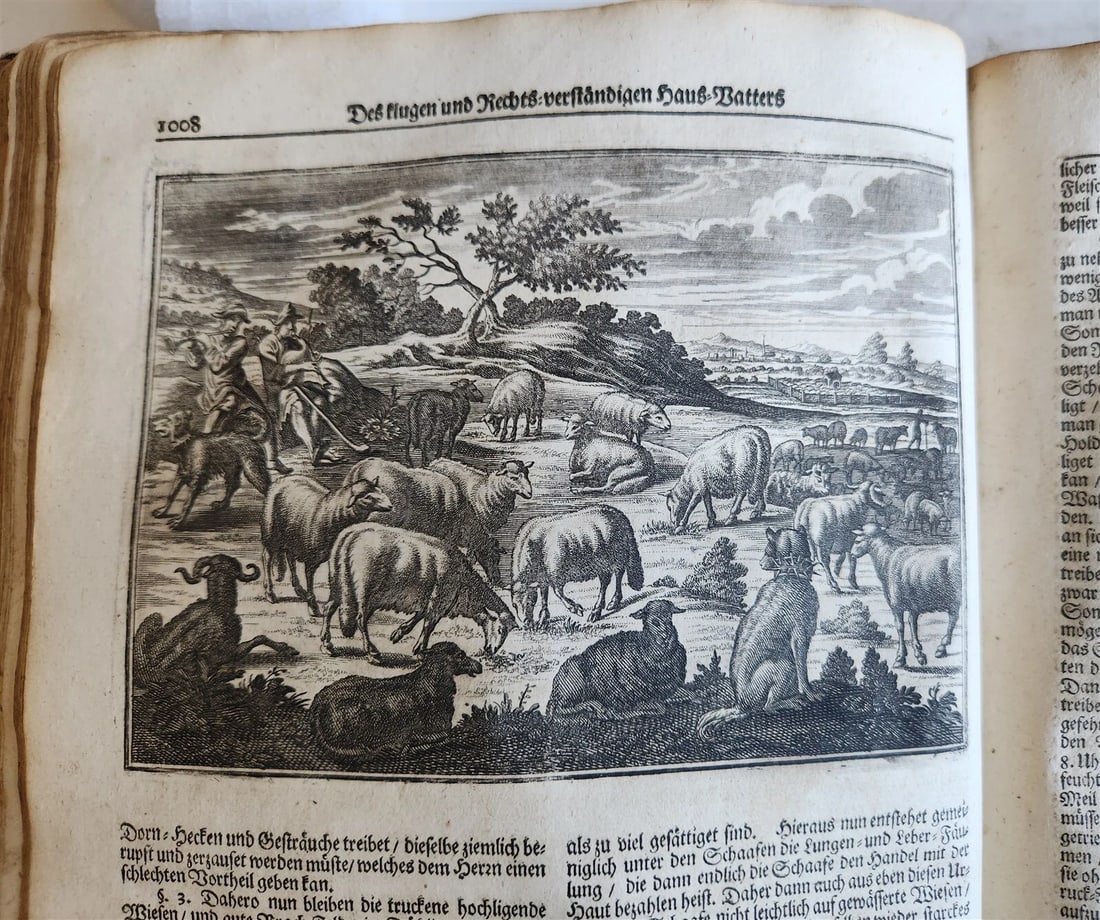 1702 Oeconomus prudens ILLUSTRATED 2 FOLIO VOLUMES antique in GERMAN - 4