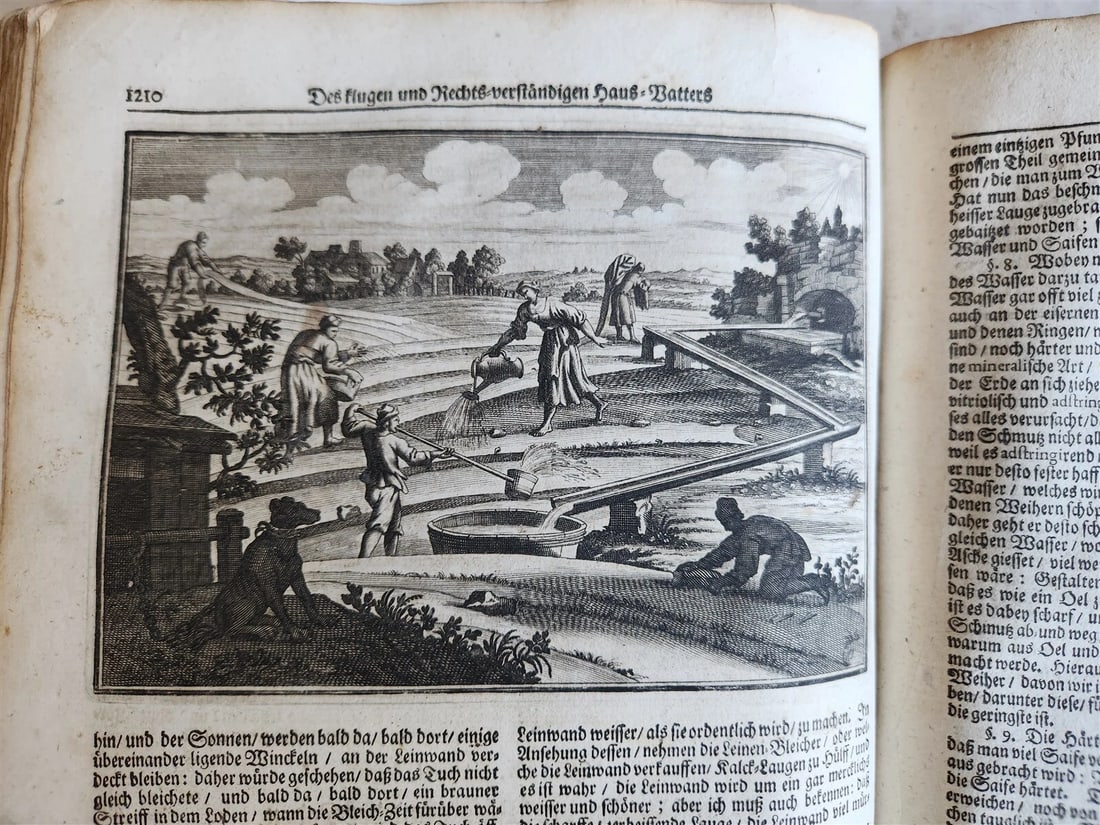 1702 Oeconomus prudens ILLUSTRATED 2 FOLIO VOLUMES antique in GERMAN - 5