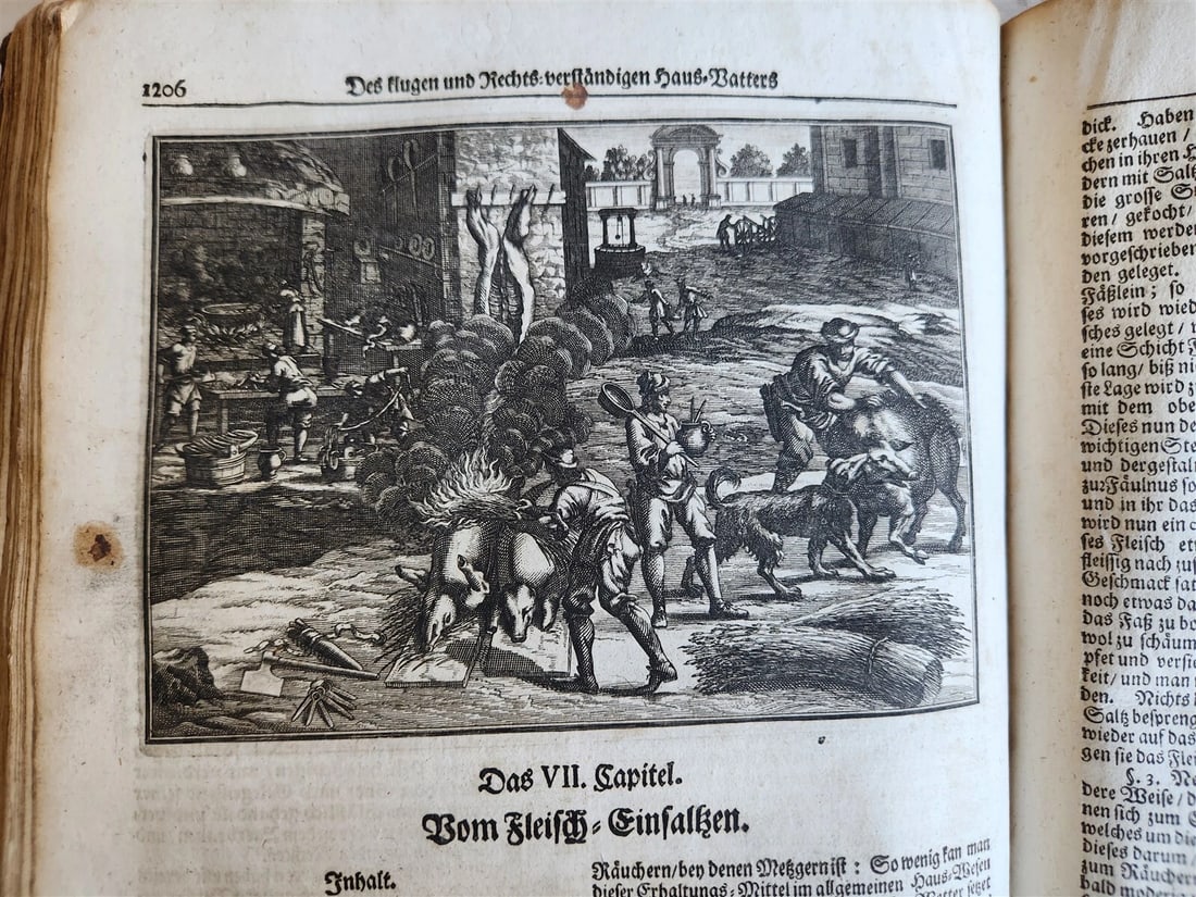 1702 Oeconomus prudens ILLUSTRATED 2 FOLIO VOLUMES antique in GERMAN - 6