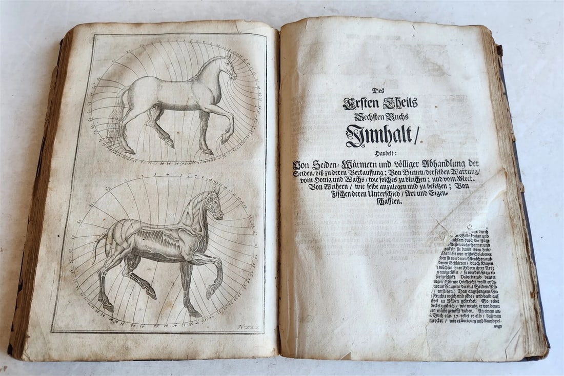 1702 Oeconomus prudens ILLUSTRATED 2 FOLIO VOLUMES antique in GERMAN - 9